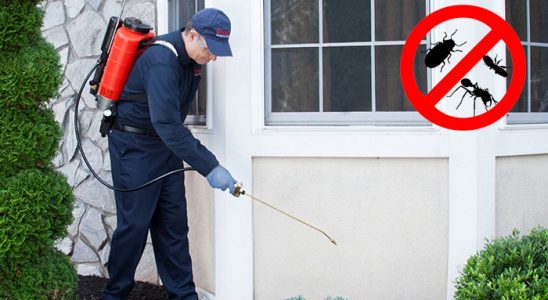Yozgat Hamam Böceği İlaçlama böcek ilaçlama ve haşere kontrolü — ilaclama-tr.com